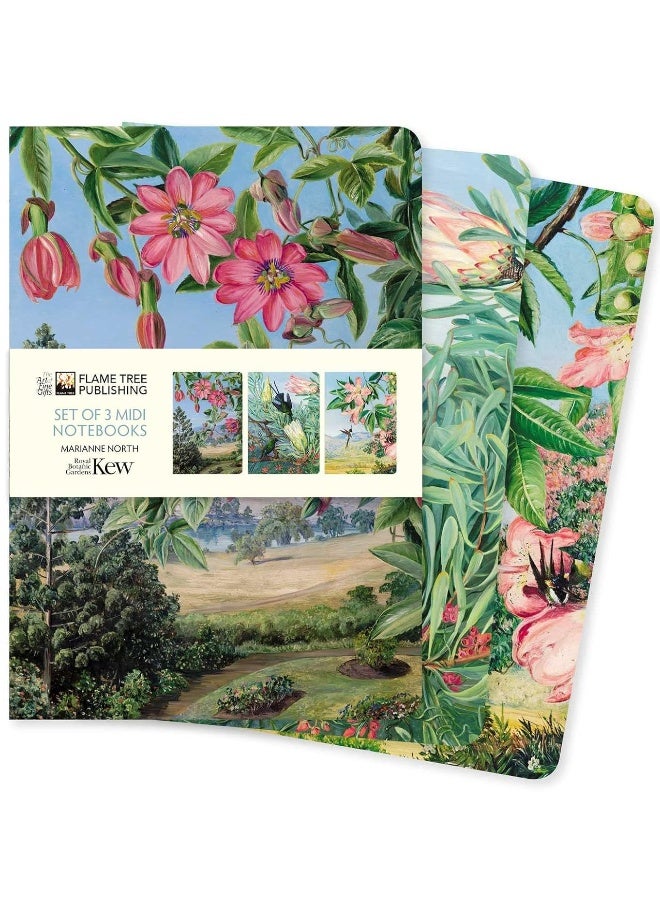 Kew Gardens: Marianne North Set of 3 Midi Notebooks  - Image 1