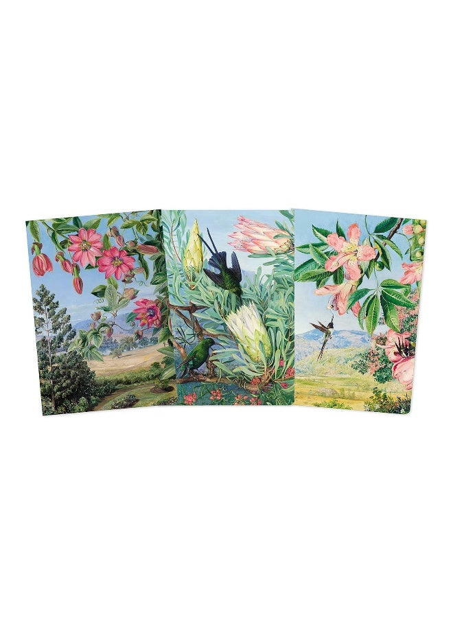 Kew Gardens: Marianne North Set of 3 Midi Notebooks  - Image 2