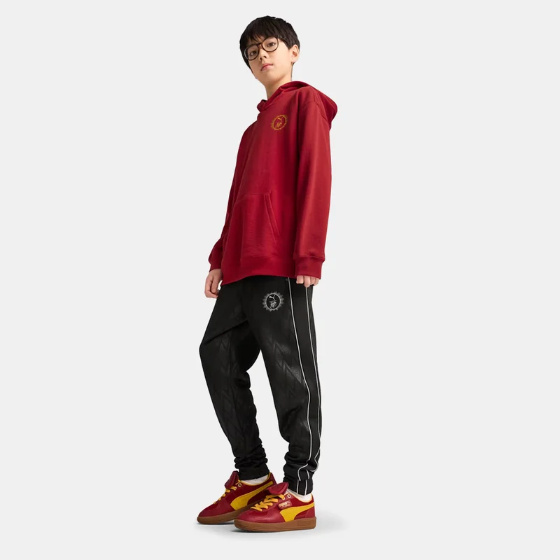 PUMA Kids' Harry Potter Graphic Hoodie