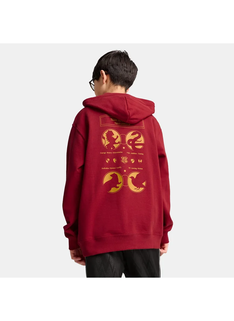 PUMA Kids' Harry Potter Graphic Hoodie