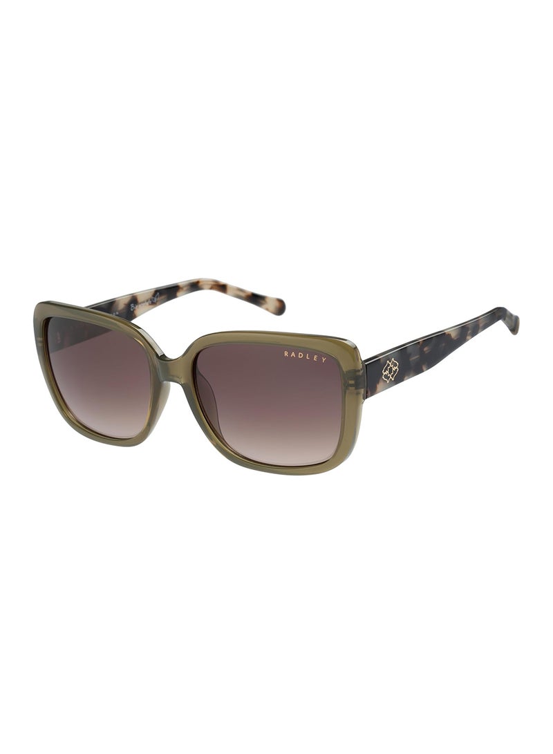Radley نظارات شمسية نسائية ملفوفة مستقطبة خضراء 57 مم - Image 1