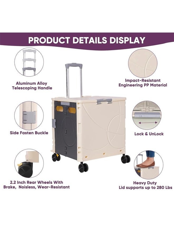 Generic - Portable Folding Trolley With Wheels, Shopping, Grocery Shopping, Camping, Very Convenient, Beige/Gray - Image 1