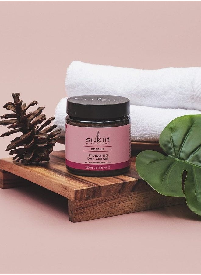 Rosehip Hydrating Day Cream, 4.06 Ounces