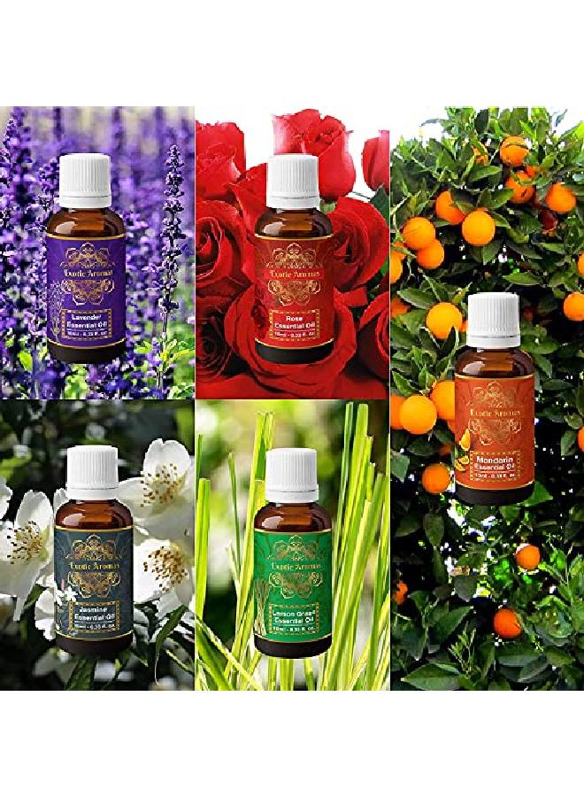 Exotic Aromas Essential Oil Lavender Oil Lemongrass Oil Jasmine Oil Mandarin Oil Rose Oil (Pack Of 5) - Image 3