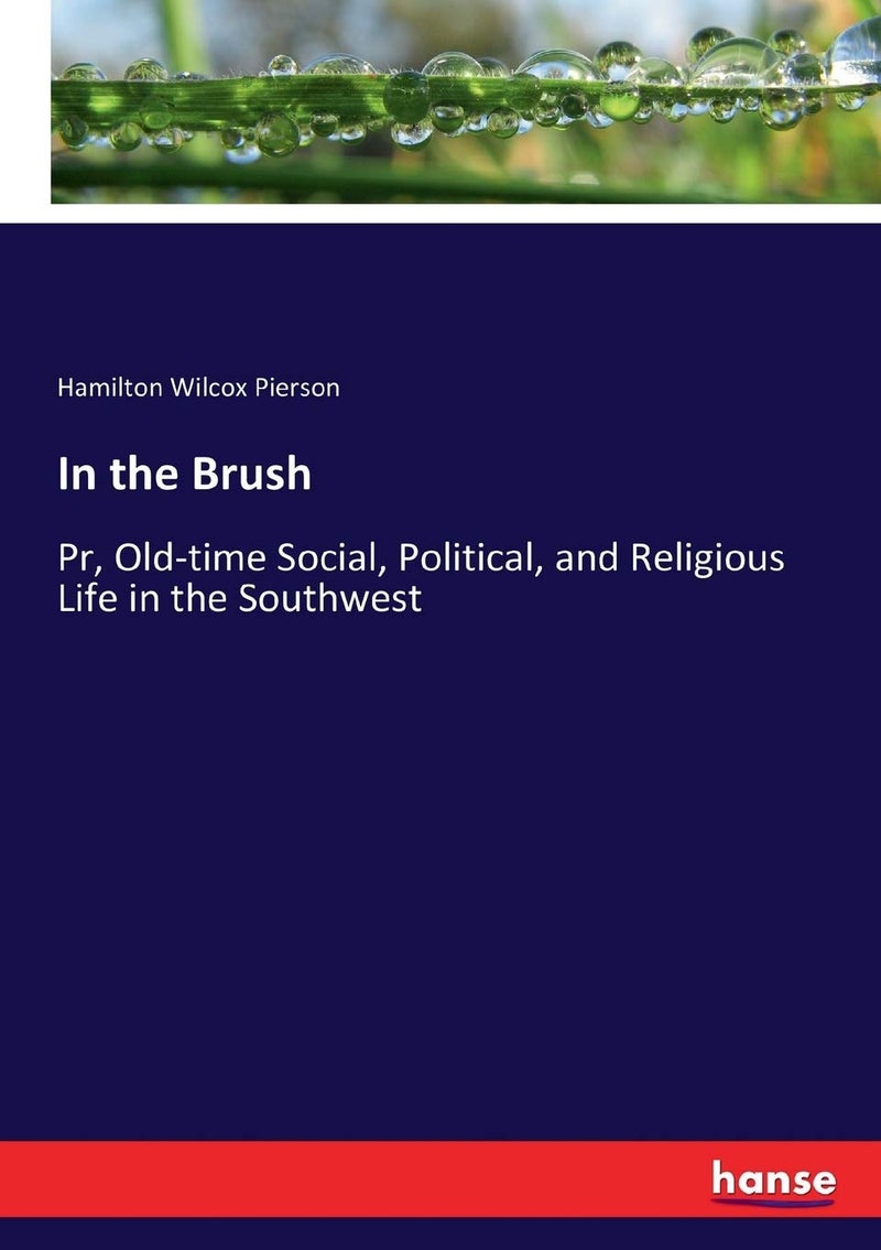 In the Brush: Pr, Old-time Social, Political, and Religious Life in the Southwest - Image 1