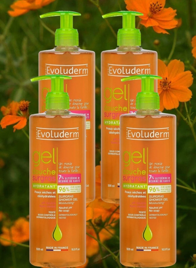 إيفو لوديرم 4 قطع جل الاستحمام المرطب بالسكر من إيفولوديرم 500مل - Image 1