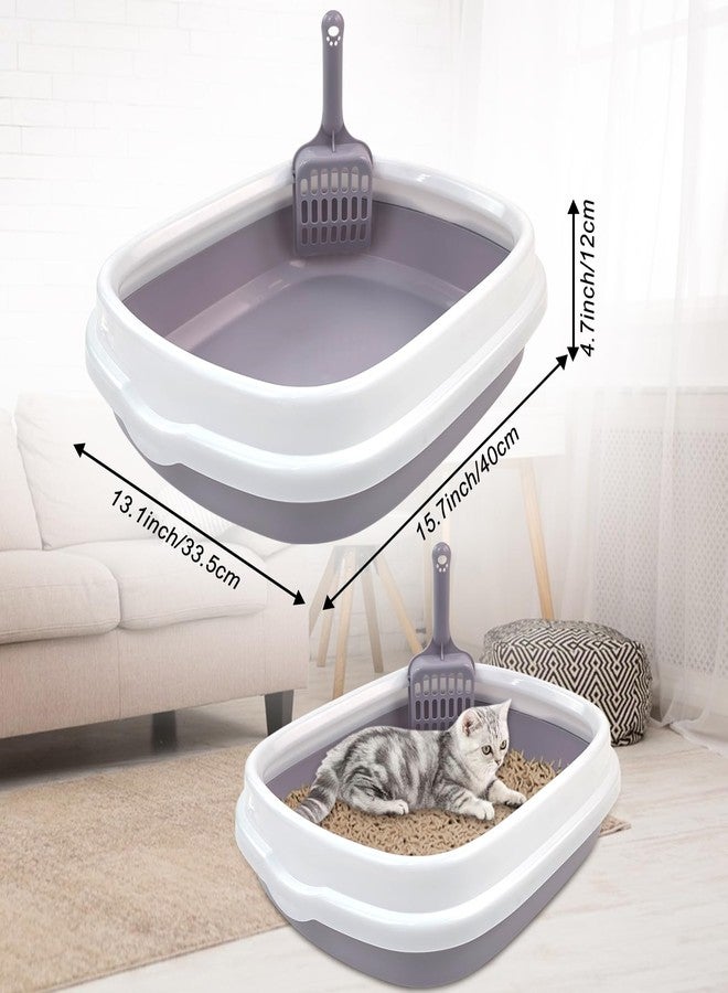 Hlimior Kitten Starter Kit - 15 Piece Cat Essentials Set Includes Litter Box, Toys, Collars, Scratch Pad, Nail File, Automatic Feed Bowls, Grooming Gloves (Gray) - Image 3