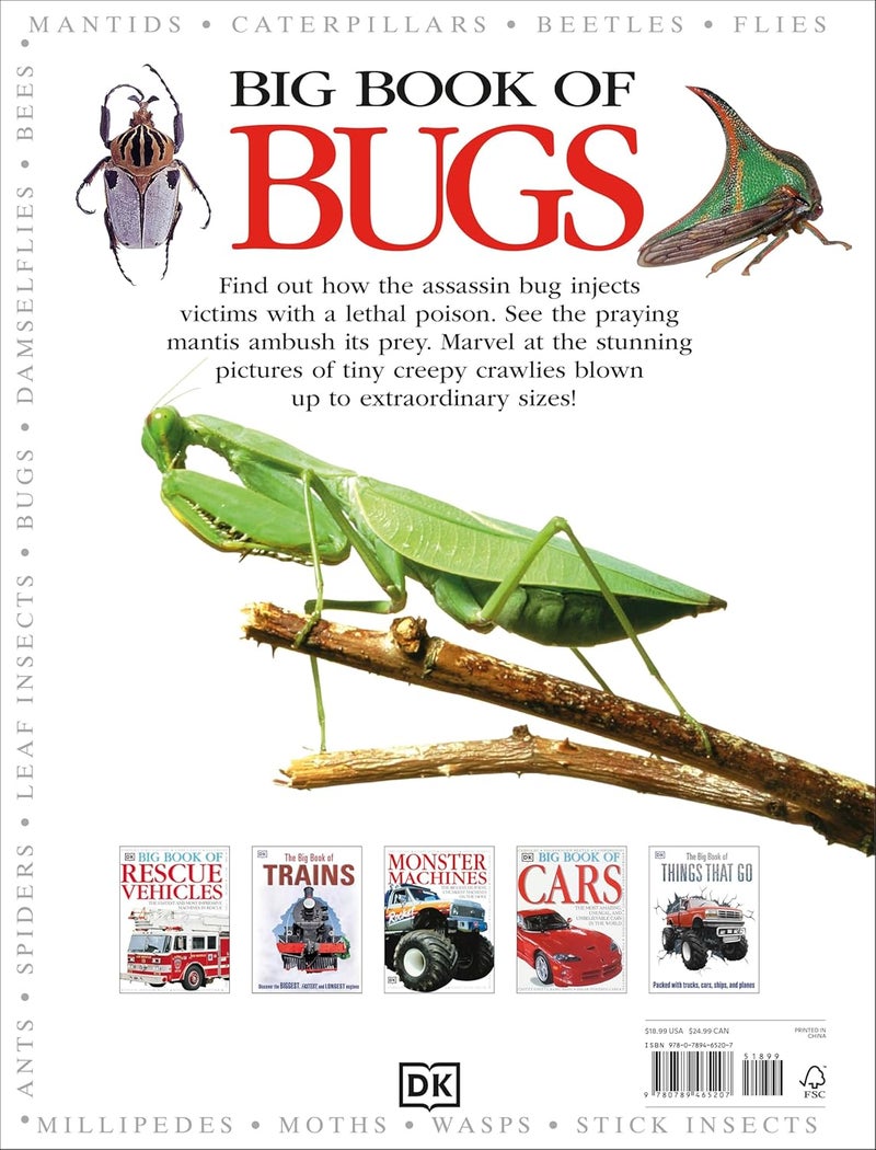 DK Big Book of Bugs - Image 2