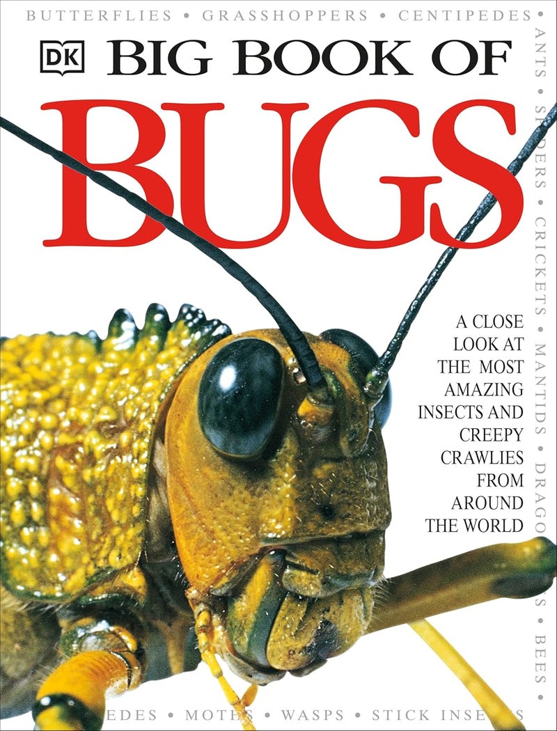 DK Big Book of Bugs - Image 1