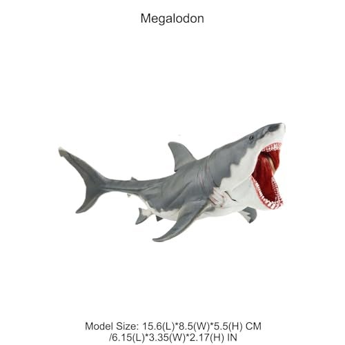 AENIMELY Realistic Megalodon Shark Toy Movable Jaw Ocean Animal Figurine for Kids Educational Sea Life Model STEM Learning Gift Shark Display Decor - Image 5