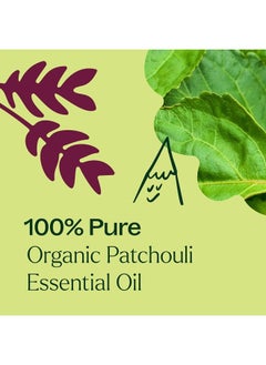 Organic Patchouli Essential Oil 10 mL (1/3 oz) 100% Pure, Undiluted, Therapeutic Grade - pzsku/ZDF5AE990B93868689DB7Z/45/_/1741095189/c911cc30-2d72-4dc9-8ea1-13839313a82e