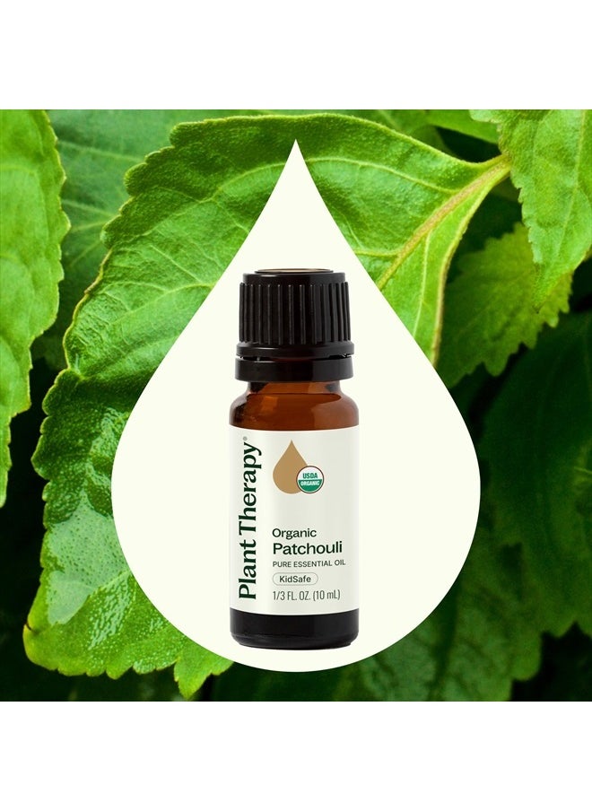 Plant Therapy Organic Patchouli Essential Oil 10 mL (1/3 oz) 100% Pure, Undiluted, Therapeutic Grade  - Image 3