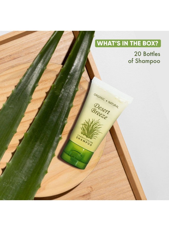 Shampoo Travel Size Hotel Toiletries 1 Oz. Flip Cap (Case Of 20)