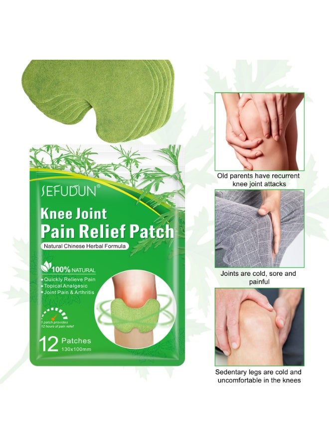 Sefudun 12 PCS Knee Pain Relief Patches, Natural Herbal Knee Joint Pain Relief Patch Knee Pain Treatment Plaster and Pads for Knee - Image 2