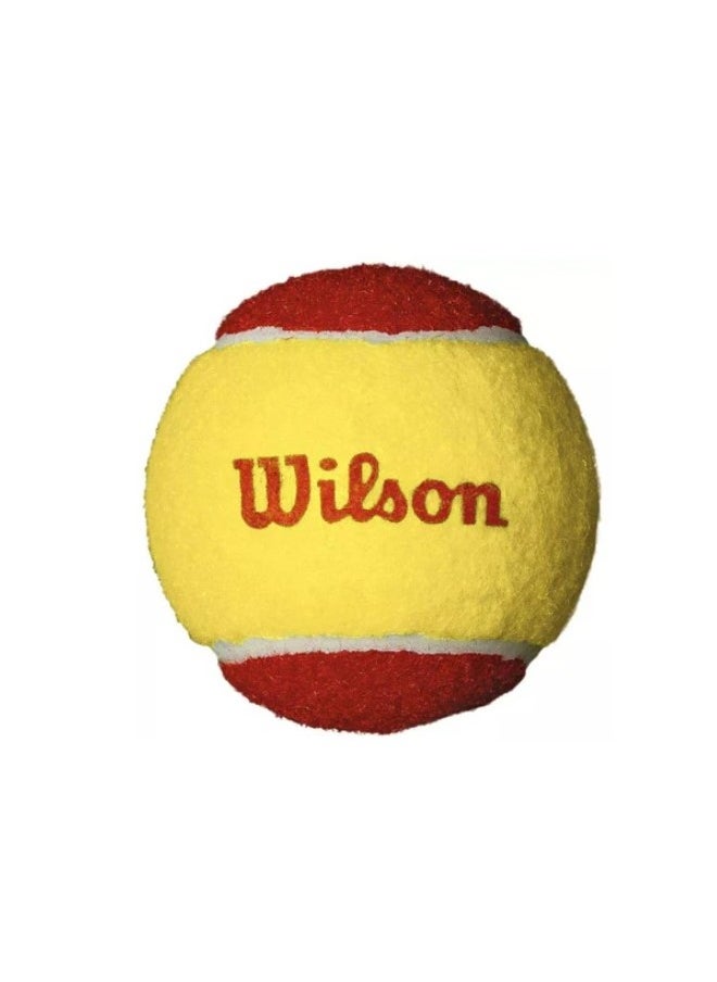 Wilson Starter Red Tennis balls 