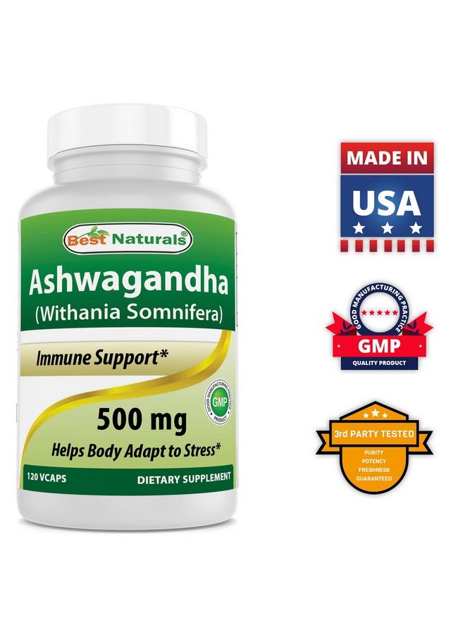 2 Pack Ashwagandha Capsules For Relaxing Stress And Mood 500 Mg 120 Count (Total 240 Capsules) - pzsku/ZDF5DC3DAFB12BD250812Z/45/_/1695145438/70424b46-0d29-4858-ae0f-3dd97cfb454e