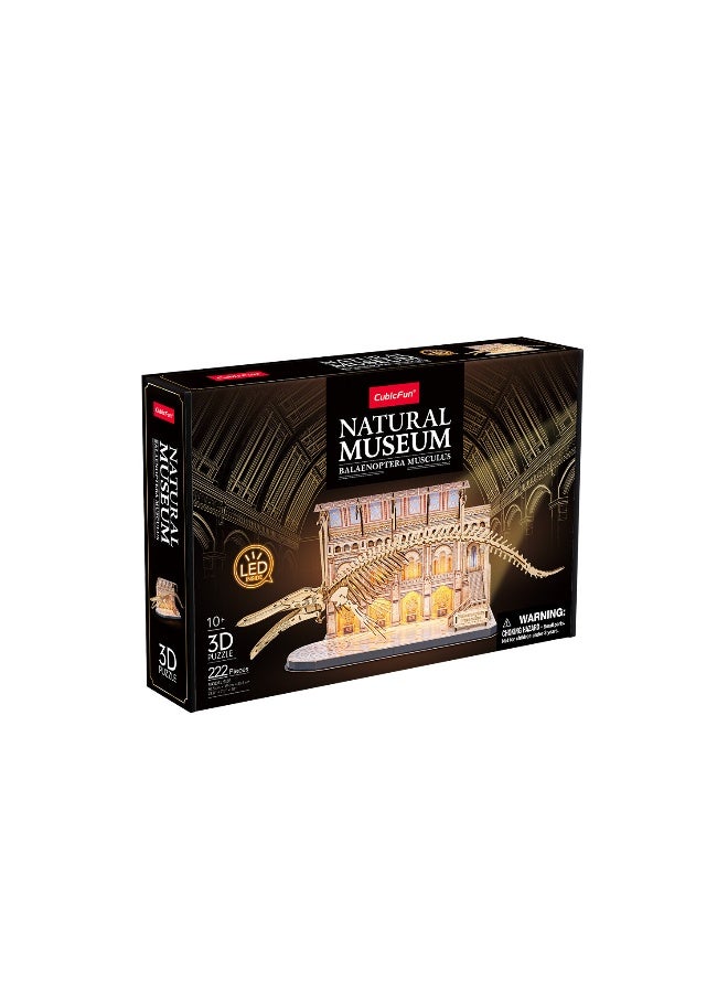 CubicFun 3D Puzzle with LED Blue Whale (Balaenoptera Musculus) 222-Pieces | No-Glue or Scissors Needed! | Building Kit | Puzzle for Kids & Adults | Challenging Puzzle | Arts & Crafts | Perfect for Stress Reliever and Puzzle Lovers - Image 1