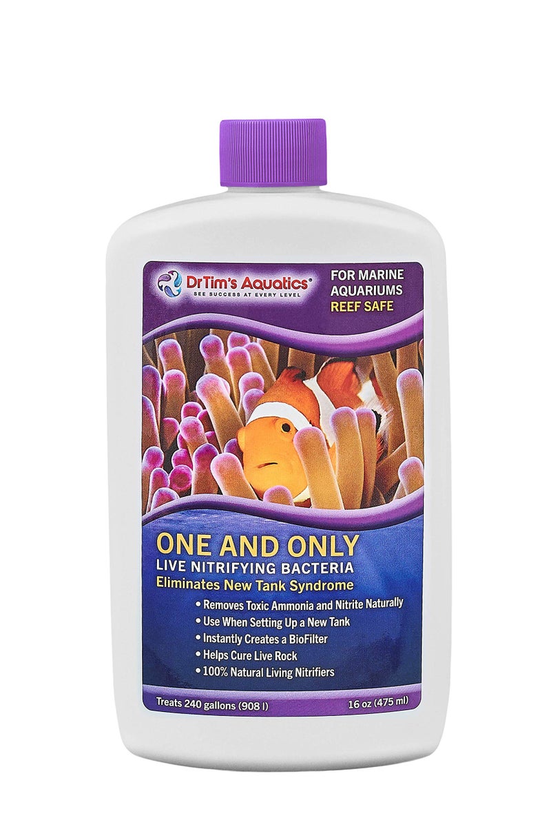DrTim's Aquatics Reef One & Only Nitrifying Bacteria – For Reef, Nano and Seahorse Aquaria, New Fish Tanks, Aquariums, Disease Treatment – H20 Pure Fish Tank Cleaner – Removes Toxins – 16 Oz. (403) - Image 1