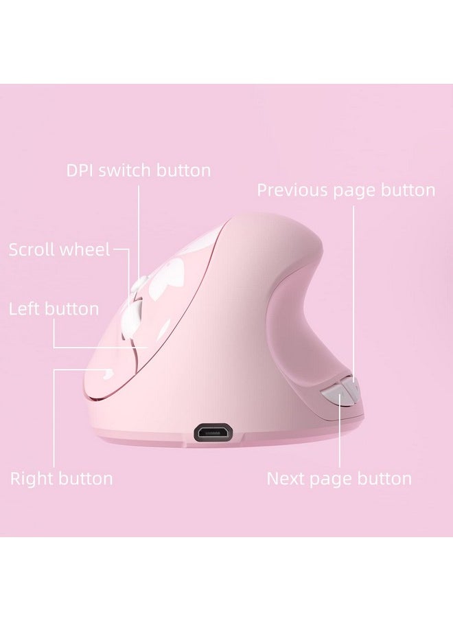 Mytrix Sakura Cherry Pink Wireless Ergonomic Vertical Mouse 2.4Ghz Optical Ergo Mouse With 800 1200 1600 Dpi Right Handed For Laptop Computer Desktop Windows Mac Os Ios Linux Android Systems  - Image 4