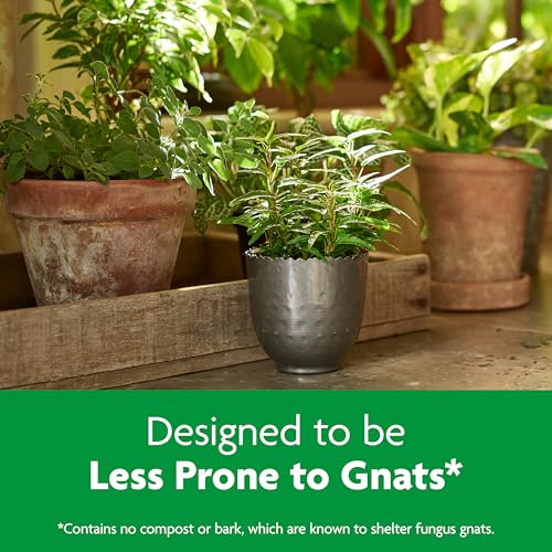 Miracle-Gro Indoor Potting Mix, Blended for a Variety of Houseplants, Feeds for up to 6 Months, 6 qt. - Image 4