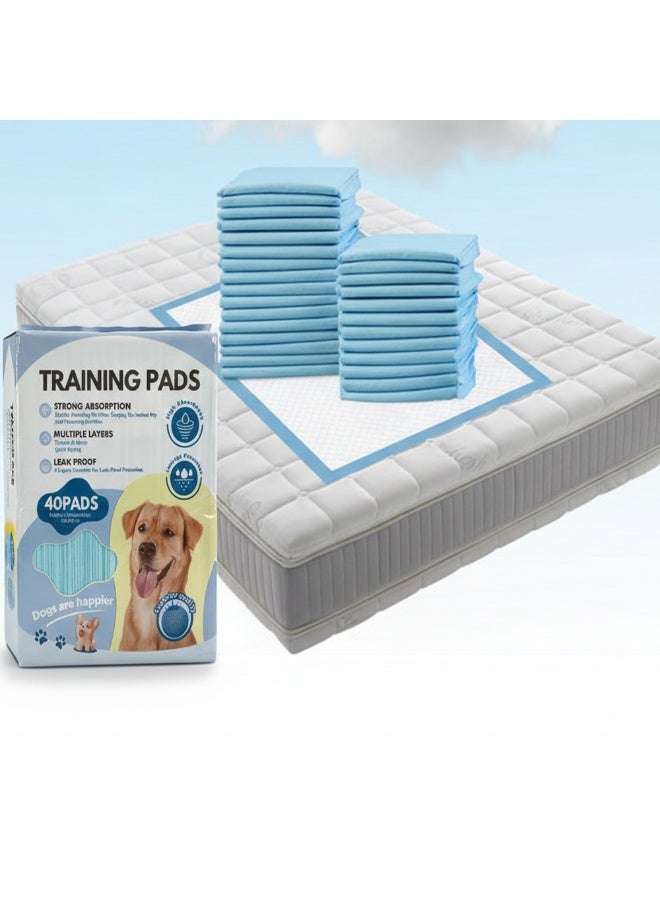 أحزمة تبول ممتازة الجودة، سريعة التجفيف ومقاومة للتسرب، للاستخدام مرة واحدة، وسادات تدريب قابلة للتصرف للأطفال والحيوانات الأليفة وكبار السن، تحتوي على 6 طبقات ماصة، وسادات جرو لتدريب التبول بمقاسات مختلفة 60×60 سم، 40 قطعة - Image 1