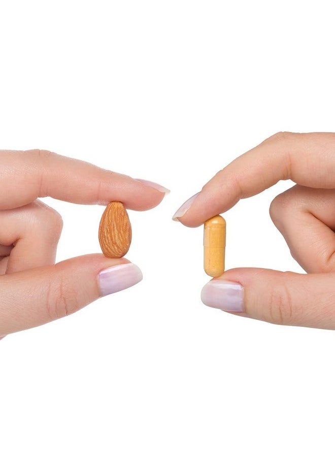 Seeking Health Seeking Health Multivitamin One - Supplement with Zinc, Vitamin B12, & Vitamin A - Magnesium-Free Formula - Multivitamin Supports Methylation & Healthy Aging - 45 Capsules  - Image 3