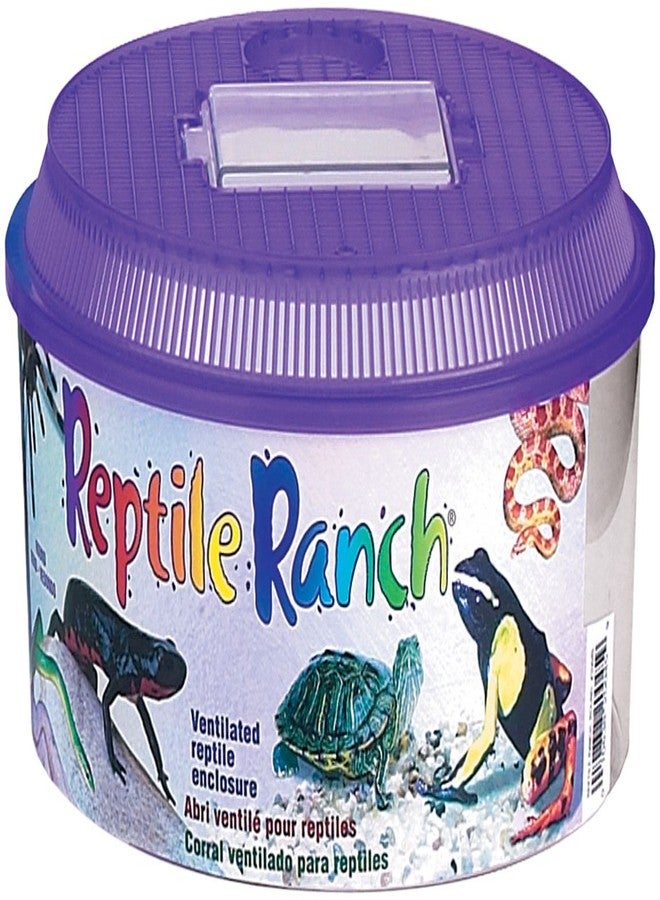 Lee's Reptile Ranch, Round w/Lid