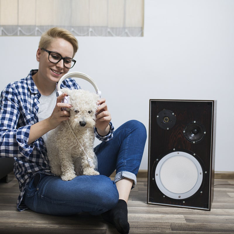 Outdoor Powered Speaker Cover, Durable Metal and ABS Plastic, DIY Speaker Decorative Ring - Image 5