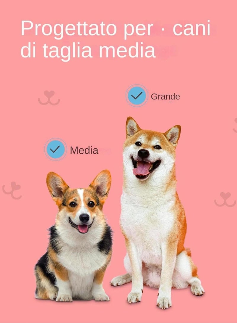 جي جوت فرشاة أسنان للكلاب على شكل إصبع، طقم فرشاة أسنان للكلاب، مناديل لتنظيف أسنان الكلاب مع فرشاة أسنان للقطط - فرشاة أسنان للكلاب، منتجات للحيوانات الأليفة، مناديل مبللة - Image 4