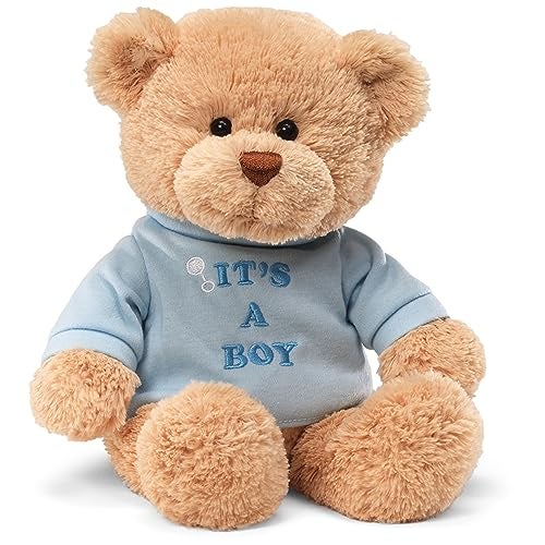 GUND “It’s a Boy” Message Bear with Blue T-Shirt, Teddy Bear Stuffed Animal for Ages 1 and Up, Brown, 12” - Image 1