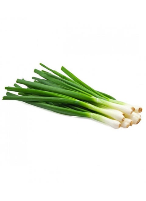 Green onion seeds (there are more than 10 seeds)