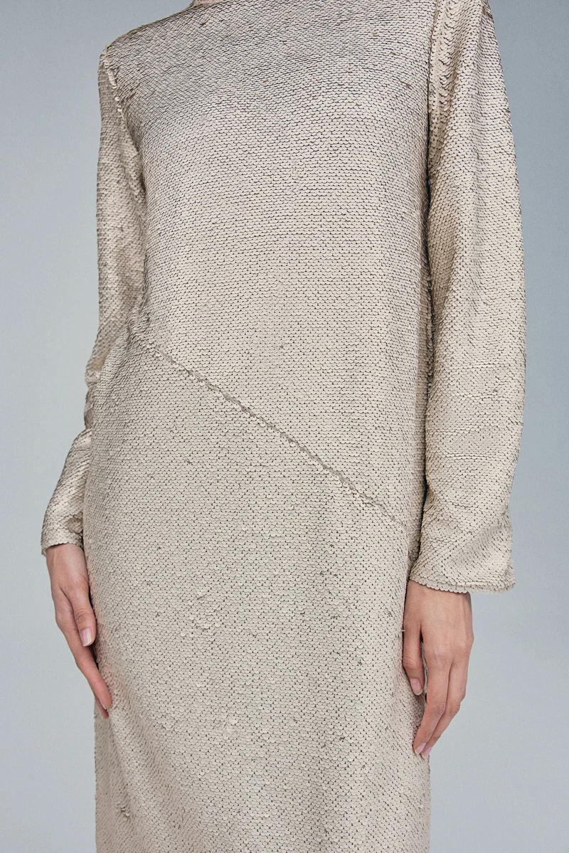 اتش اند ام Sequined maxi dress