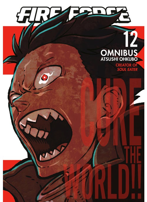 Fire Force Omnibus 12 (Vol. 33-34)