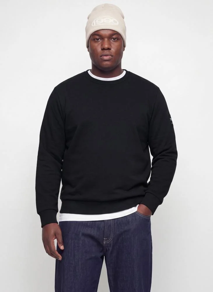 Solid Crew Neck Regular Fit Plus Size Sweatshirt
