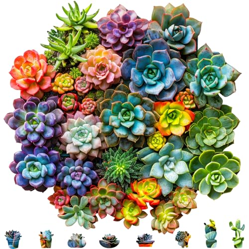Mys Aurora Succulent Wooden Puzzles for Adults 200 Piece Unique Shaped Wood Jigsaw Puzzles for Adults and Kids Fun Challenging Puzzles Family Game Gift Medium 112 x 11 - Image 1