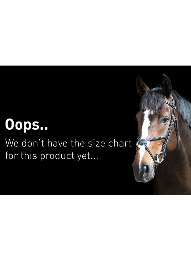 HORZE Horse Shipping Boots Set of 4 - Peacoat Dark Blue - Cob - Image 2