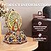 Miggley DIY Miniature House Kit Book Nook Mini House Bookshelf Decor 3D Wooden Puzzle for Adults Birthday Gift for Family Friends Century Ferris Wheel - Image 4