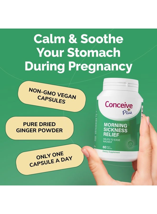 Conceive Plus تخفيف غثيان الصباح - مسحوق الزنجبيل المجفف النقي - تخفيف من الغثيان، دوار الحركة وعدم الراحة في المعدة أثناء الحمل - ضروري للأمهات الحوامل - غير معدّل وراثيًا - 60 كبسولة نباتية - Image 4