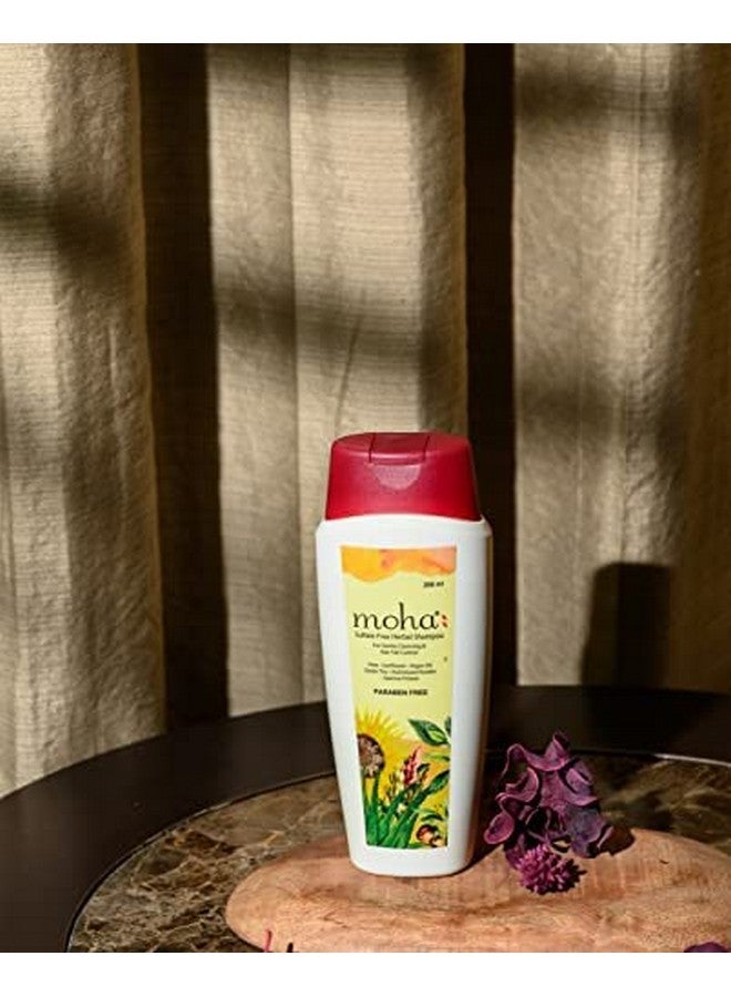 Moha: جل شامبو عشبي خالي من الكبريتات شامبو لطيف للاستخدام اليومي لجميع أنواع الشعر مع فوائد الأعشاب المثبتة لتنظيف الشعر بلطف والتحكم في تساقط الشعر 200 مل - Image 3
