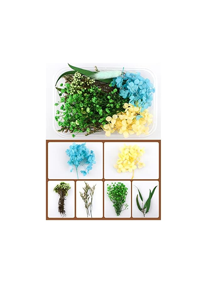 The Bros 2 Boxes Natural Dry Flower&Leaves Plant Stem Bunch for DIY Crafts Photo Props,Dried Embossing Flower Bundles for Wedding Home PartyDecor - Image 3