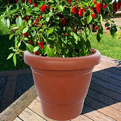 Suzec Garden Heavy Plastic Planter Pot/Gamla 6 inch Brown, Pack of 1, Small - Image 4