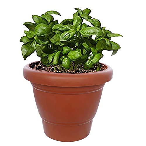 Suzec Garden Heavy Plastic Planter Pot/Gamla 6 inch Brown, Pack of 1, Small - Image 5