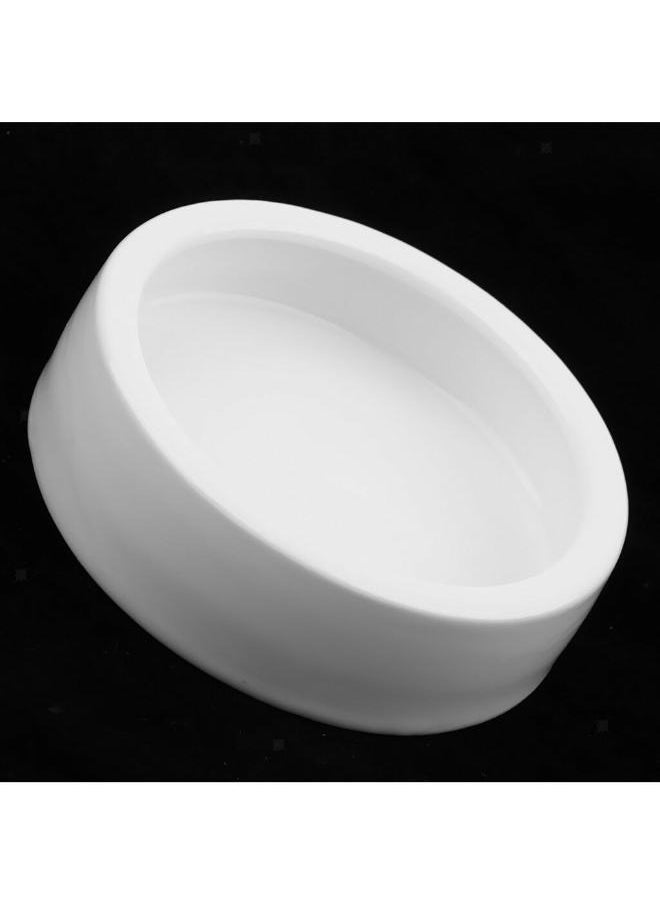 B&K Smooth Ceramic Anti-Escape Worm Dish for Reptile Lizard Feeding Food Water Bowl - pzsku/ZDF705943DAC7660997F6Z/45/_/1723117168/061cd802-97c7-4fe2-9256-4e909a24481e