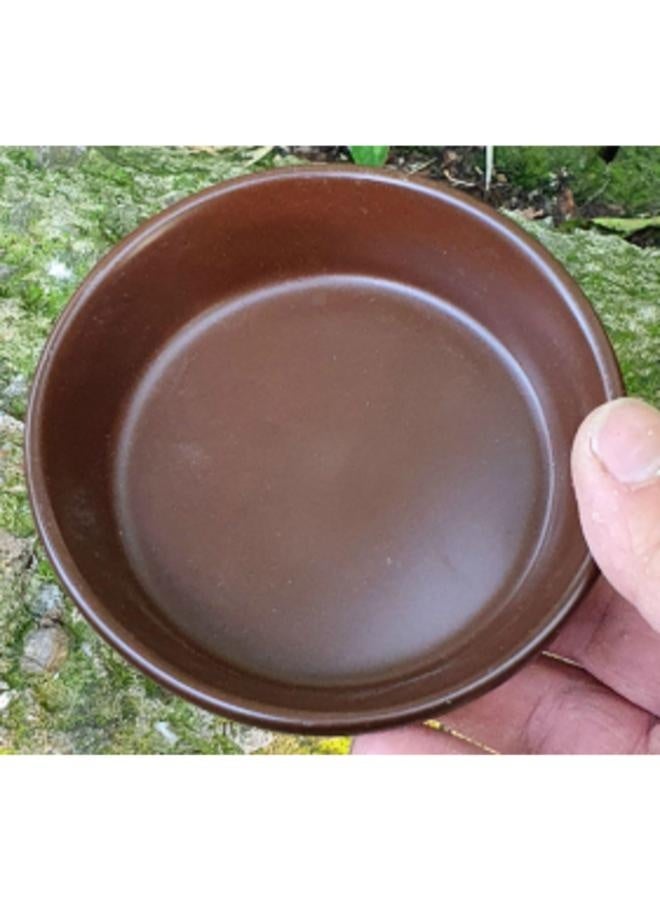 وعاء تغذية الزواحف باللون البني 9.5 × 2.6 سم - Image 1