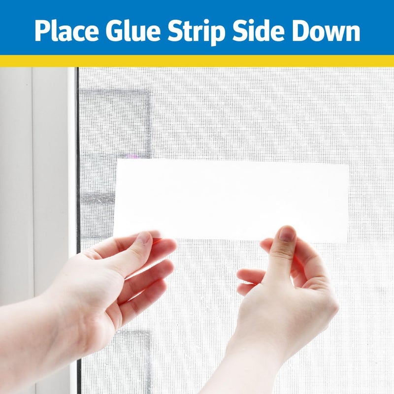 Raid Disposable Fly Trap - 8 Pieces - Image 1