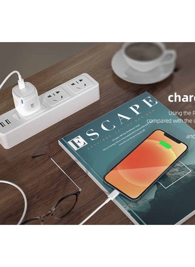 RADALIFESTYLE QC 9 Fast Charger With Quick-Charge 20 watt & Type C Cable Included  - Image 4