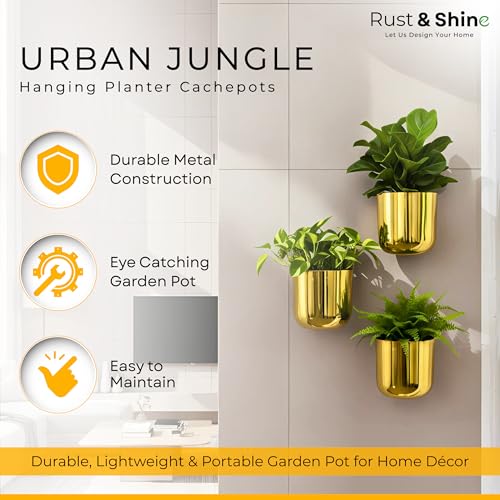 Rust & Shine Urban Jungle Hanging Planter Cachepots – Gold (Set of 3) | Durable Iron Wall Hanging Pots for Plants | Mini Flower Planters for Balcony Vertical Garden & Home Office Wall Decor - Image 2