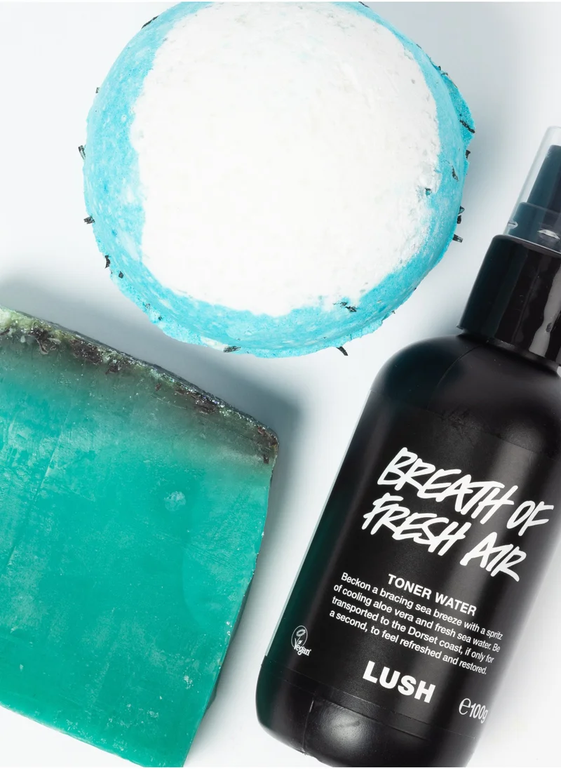 لش Vitamin Sea Gift Set