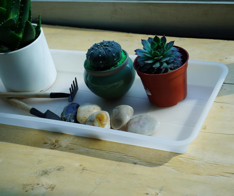 VUWEZ 6 Pack Plastic Plant Saucer, Rectangular, Indoors Outdoor, Drip Tray for Flower Pot, Windowsill (6 X 11 Inch, Clear) - Image 5