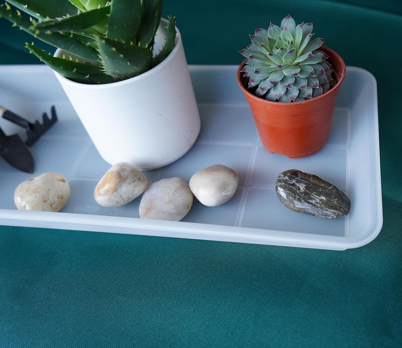 VUWEZ 6 Pack Plastic Plant Saucer, Rectangular, Indoors Outdoor, Drip Tray for Flower Pot, Windowsill (6 X 11 Inch, Clear) - Image 3